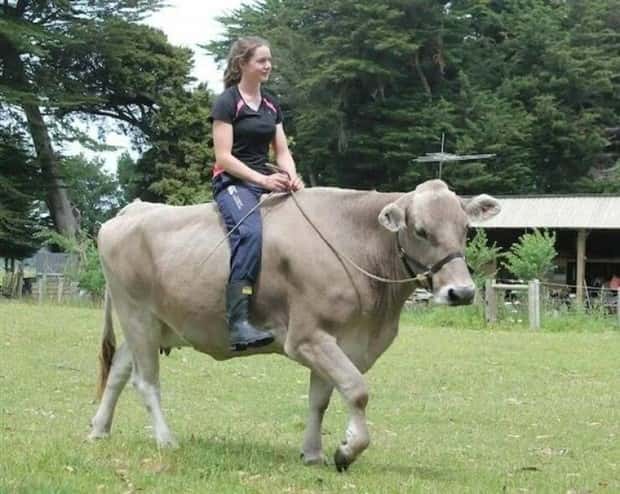 Klyker Picdump #1829 (44 photos)