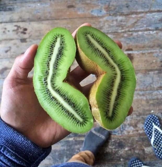 Giant Foods That Defy All Logic (40 photos)