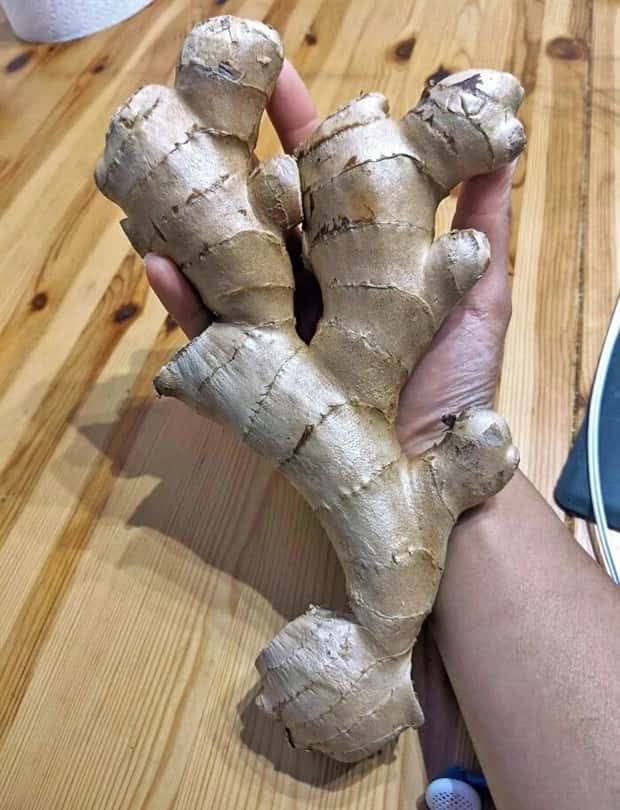 Giant Foods That Defy All Logic (40 photos)