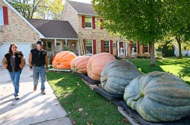 Giant Foods That Defy All Logic (40 photos)