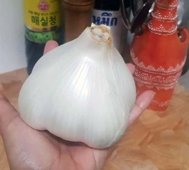 Giant Foods That Defy All Logic (40 photos)