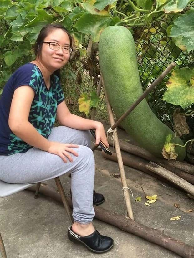 Giant Foods That Defy All Logic (40 photos)