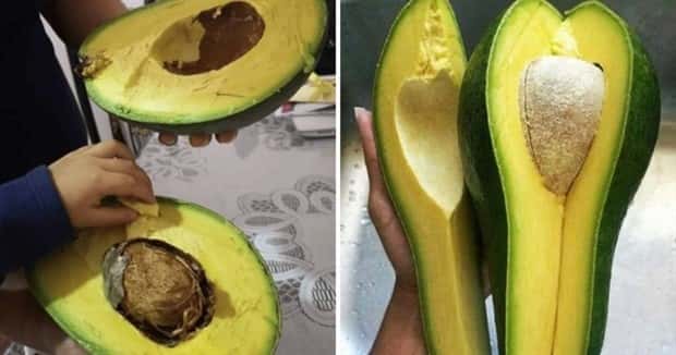 Giant Foods That Defy All Logic (40 photos)