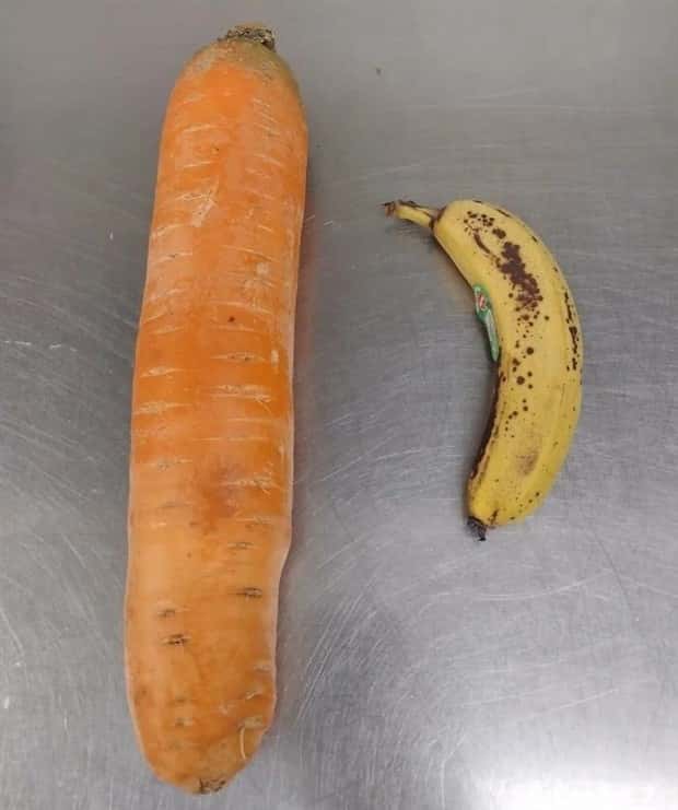 Giant Foods That Defy All Logic (40 photos)