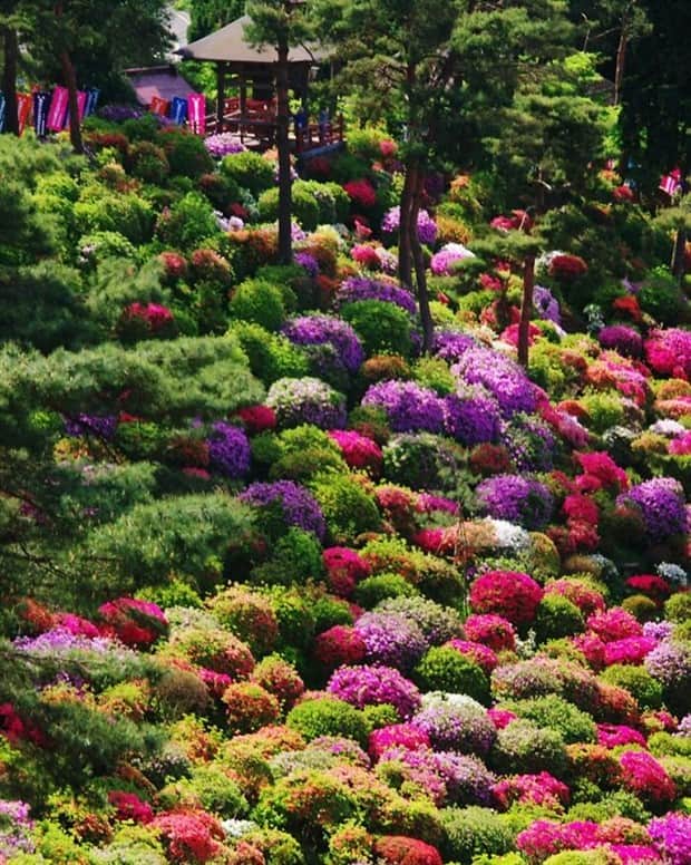 magical gardens 11 Beautiful Gardens Every Flower Lover Dreams Of (28 photos)