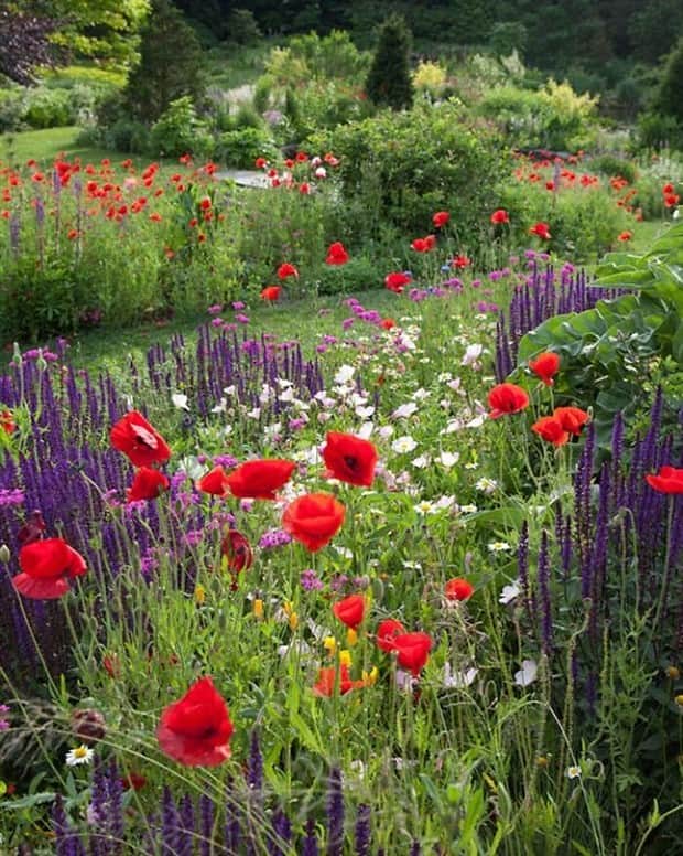 magical gardens 12 Beautiful Gardens Every Flower Lover Dreams Of (28 photos)