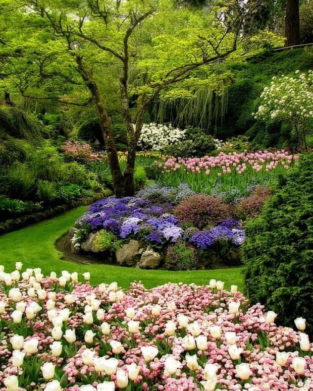 magical gardens 13 Beautiful Gardens Every Flower Lover Dreams Of (28 photos)