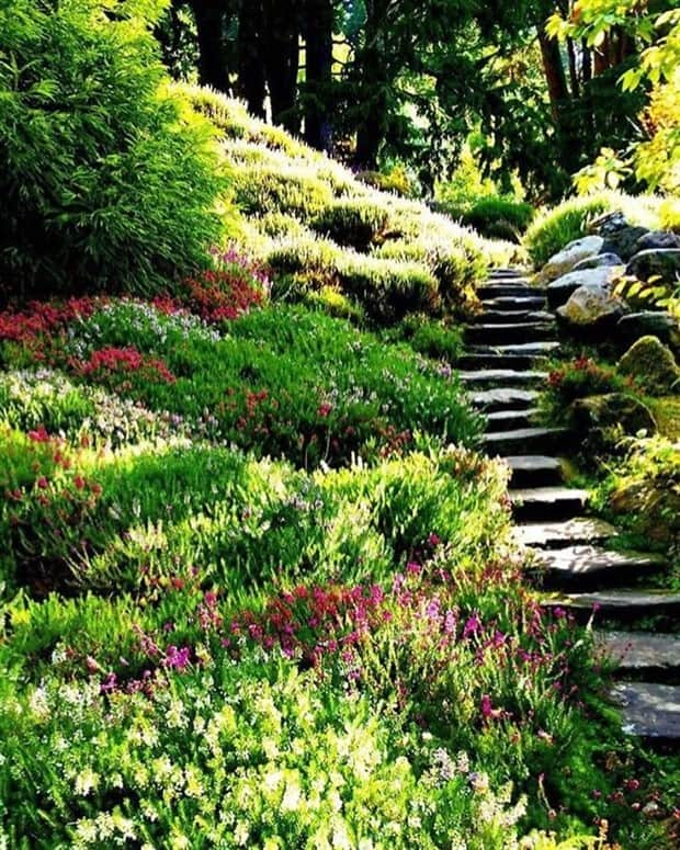 magical gardens 7 Beautiful Gardens Every Flower Lover Dreams Of (28 photos)
