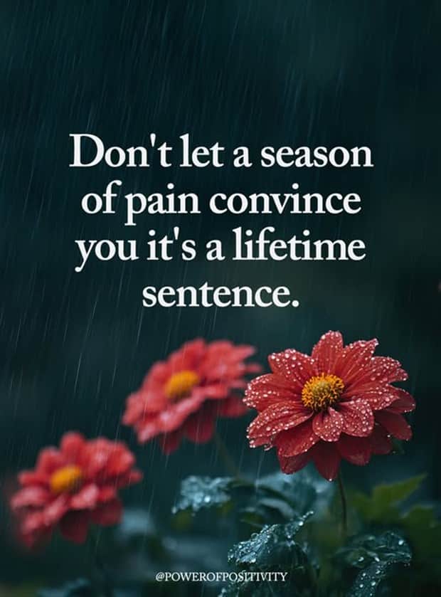 Motivational Quotes, Because It’s Monday #177 (20 photos)
