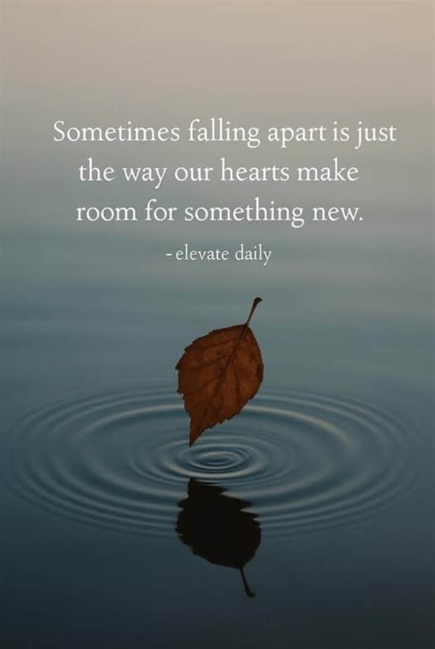 Motivational Quotes, Because It’s Monday #177 (20 photos)
