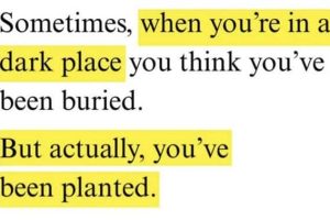 Motivational Quotes, Because It’s Monday #174 (23 photos)