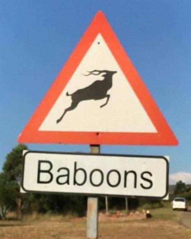 There’s No Way This is Real (32 photos)