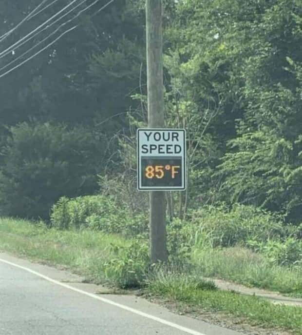 There’s No Way This is Real (32 photos)