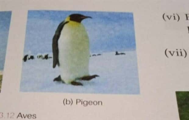 There’s No Way This is Real (32 photos)
