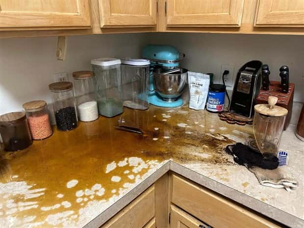 Shit Happens Regularly, Get Used To It #349 (20 photos)