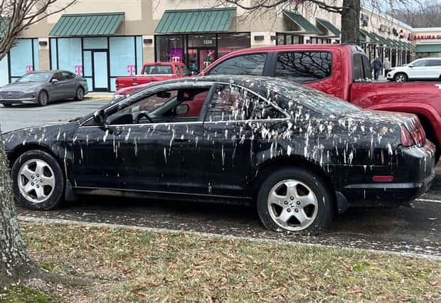 Shit Happens Regularly, Get Used To It #349 (20 photos)