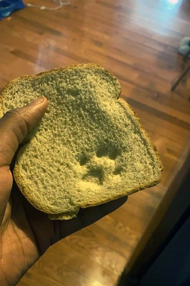 Shit Happens Regularly, Get Used To It #351 (21 photos)