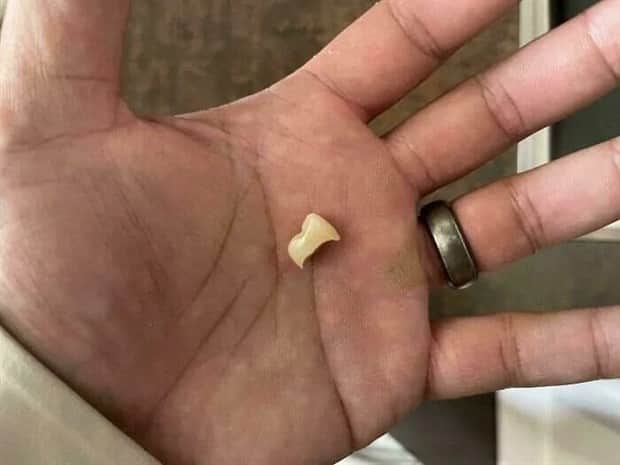 Shit Happens Regularly, Get Used To It #352 (25 photos)