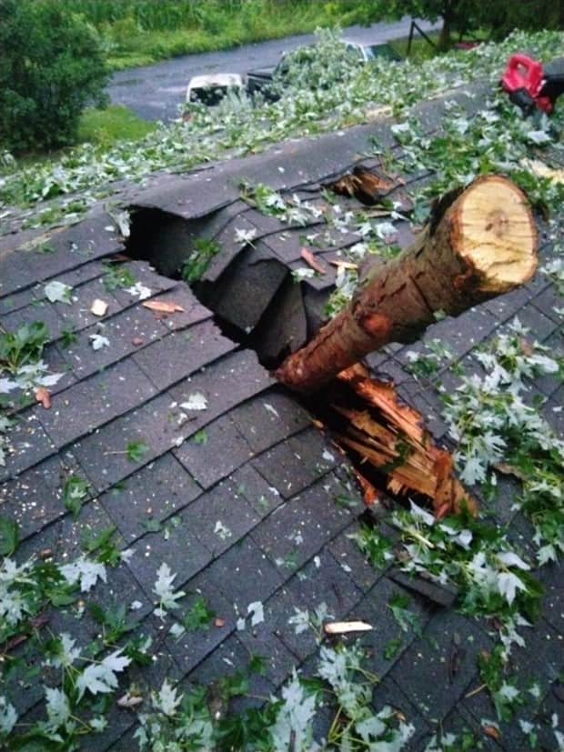 Shit Happens Regularly, Get Used To It #352 (25 photos)