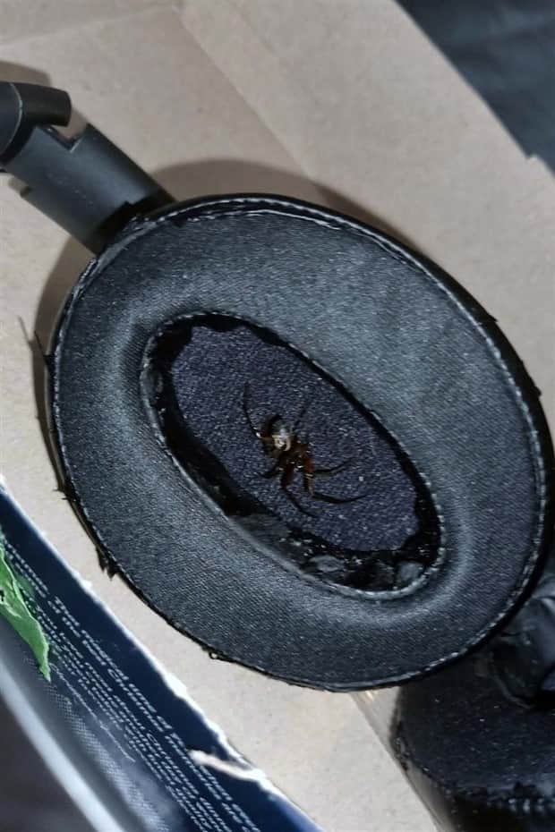 Shit Happens Regularly, Get Used To It #352 (25 photos)