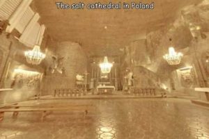 Interesting Pictures with Captions #179 (16 photos)