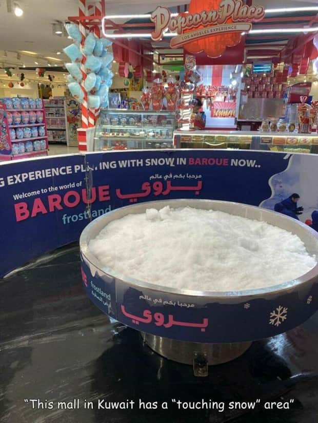 pics with captions 5 1 Interesting Pictures with Captions #179 (16 photos)