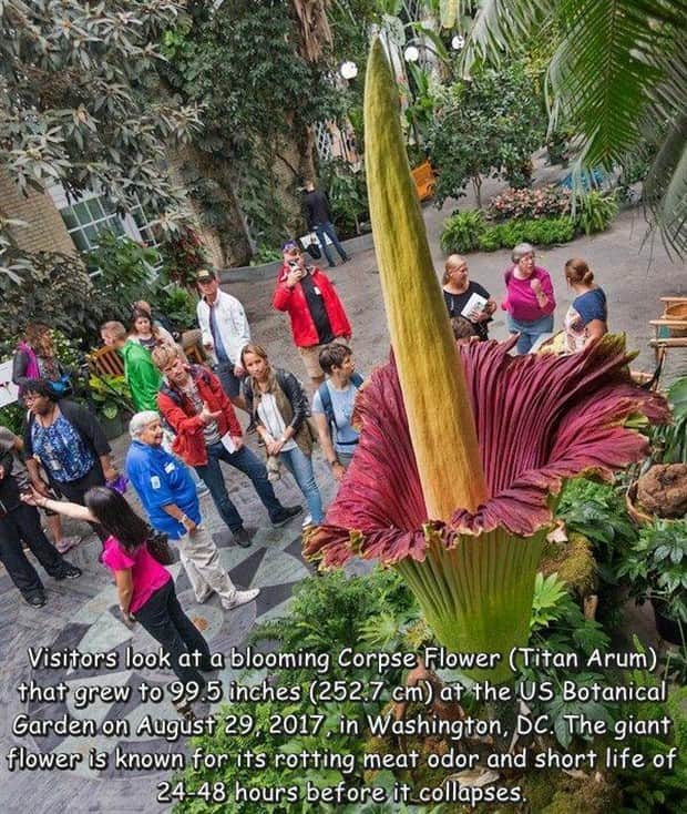 pics with captions 7 1 Interesting Pictures with Captions #179 (16 photos)