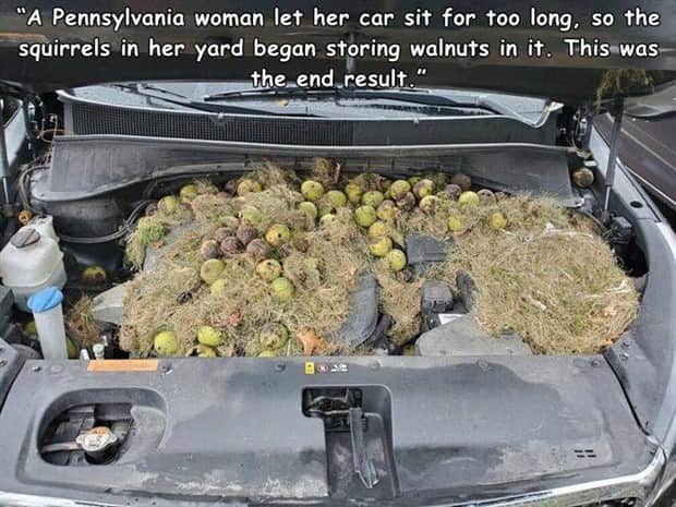 pictures with cool captions 13 Interesting Pictures with Captions #177 (22 photos)