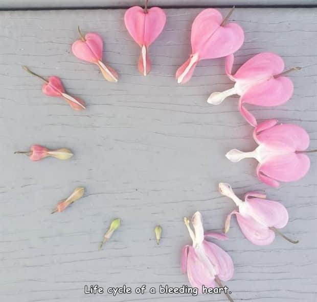 pictures with cool captions 15 Interesting Pictures with Captions #177 (22 photos)