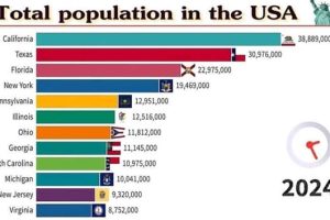Charts and Maps with Intriguing Data #180 (18 photos)
