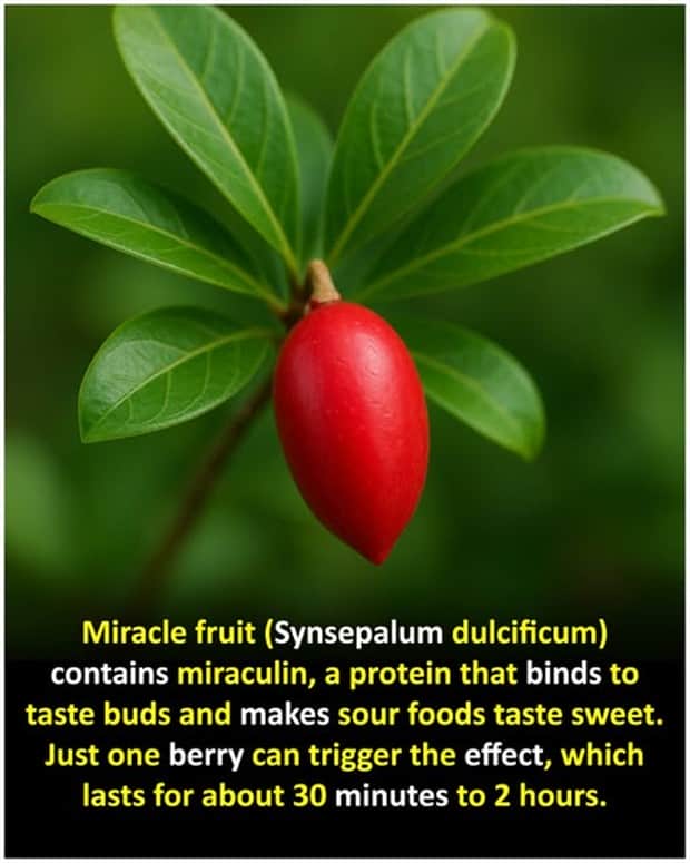 random facts 10 1 Cool and Interesting Facts #452 (19 photos)