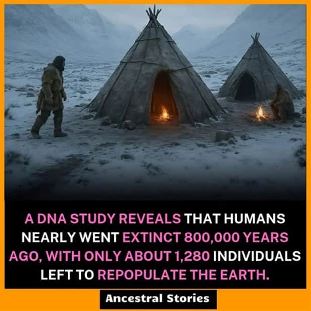 random facts 11 1 Cool and Interesting Facts #452 (19 photos)