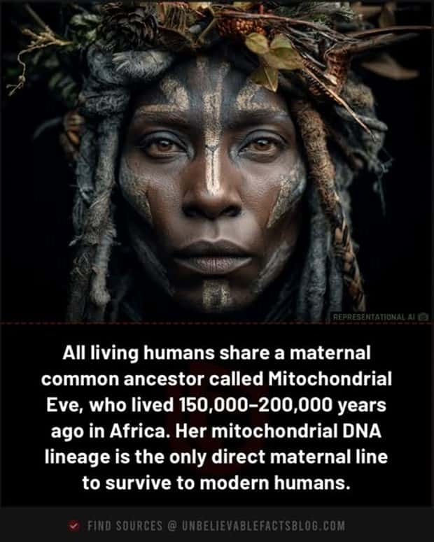 Cool and Interesting Facts #450 (24 photos)
