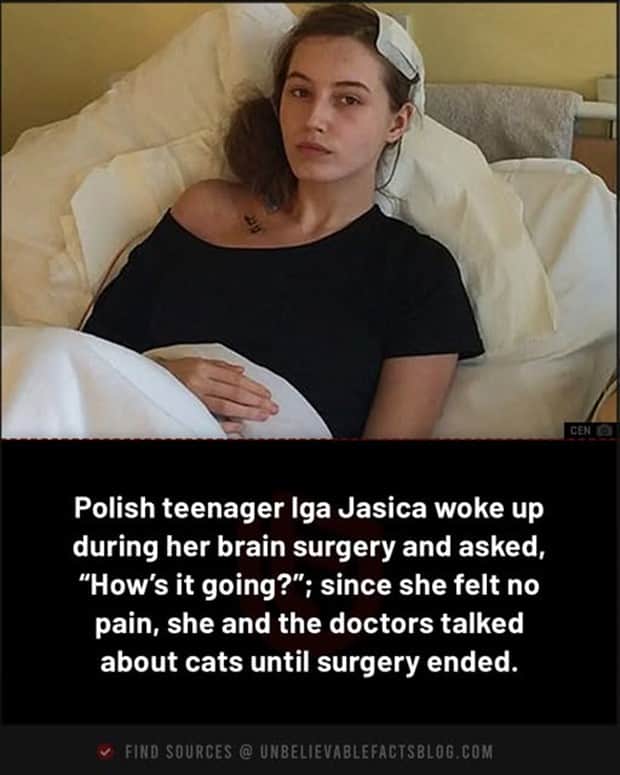 random facts 12 1 Cool and Interesting Facts #452 (19 photos)
