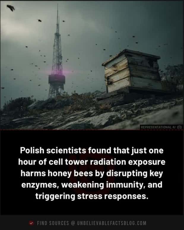Cool and Interesting Facts #450 (24 photos)