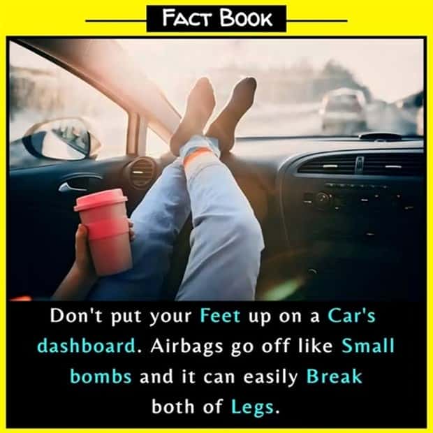 Cool and Interesting Facts #450 (24 photos)