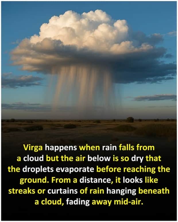 random facts 17 1 Cool and Interesting Facts #452 (19 photos)