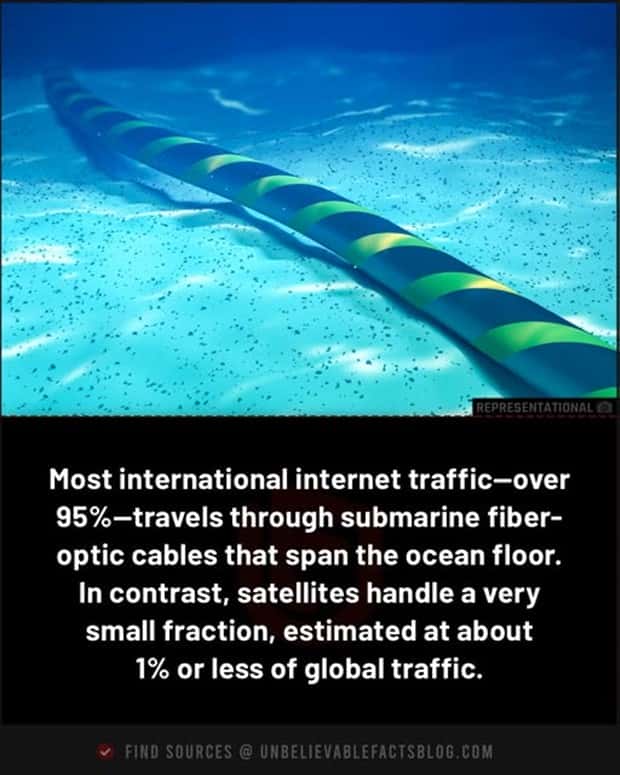 Cool and Interesting Facts #450 (24 photos)