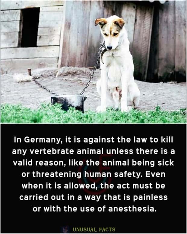Cool and Interesting Facts #450 (24 photos)