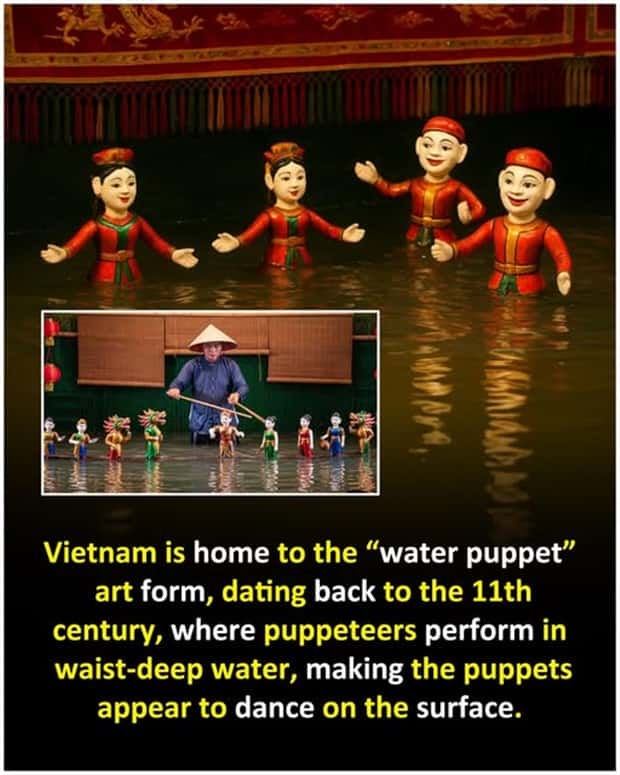Cool and Interesting Facts #450 (24 photos)