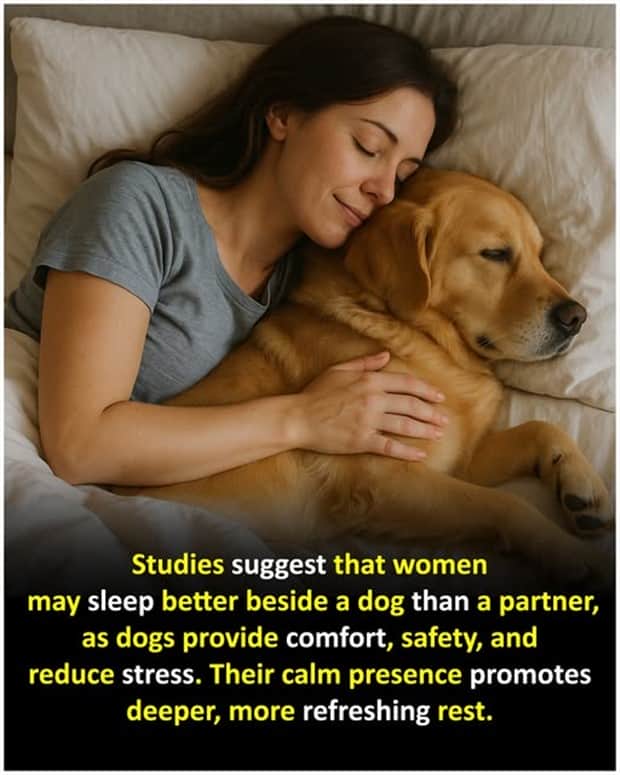 random facts 9 1 Cool and Interesting Facts #452 (19 photos)