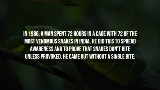 scary facts 1 Creepy Facts are Back #14 (21 photos)