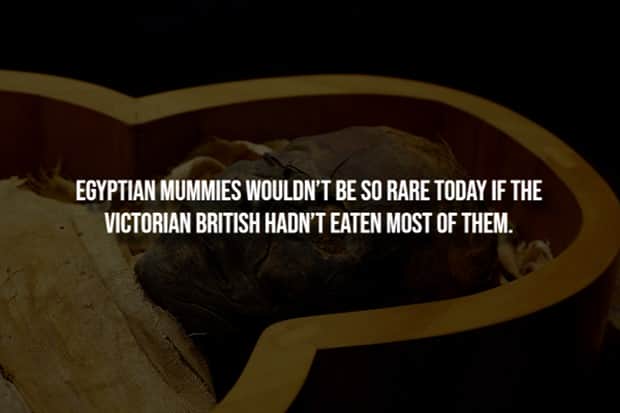 scary facts 18 Creepy Facts are Back #14 (21 photos)