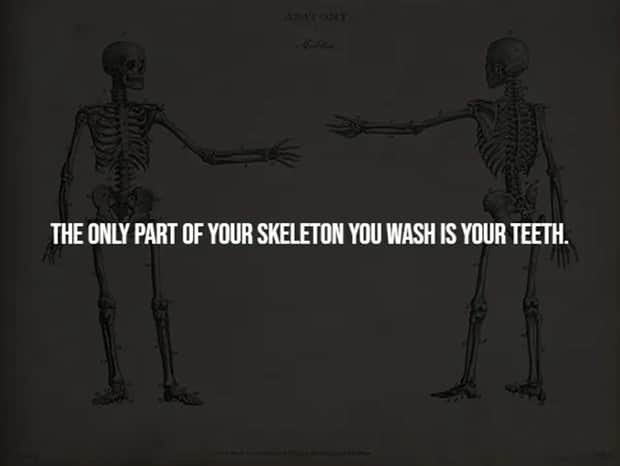 scary facts 3 Creepy Facts are Back #14 (21 photos)