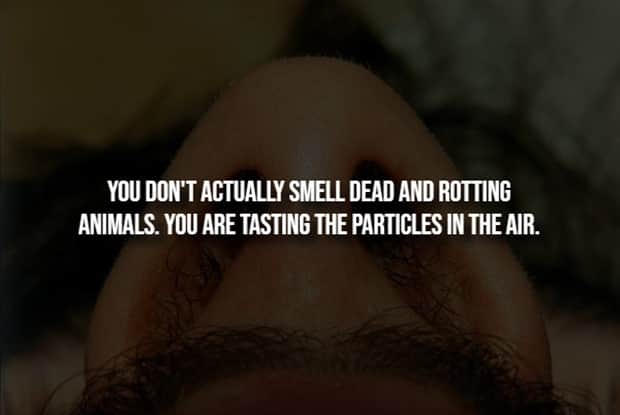 scary facts 6 Creepy Facts are Back #14 (21 photos)