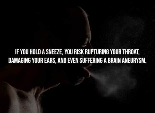 scary facts 7 Creepy Facts are Back #14 (21 photos)