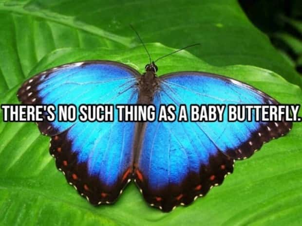silly shower thoughts 17 Funny Shower Thoughts That Sound Smart #175 (21 photos)