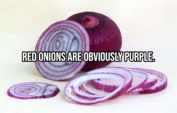 silly shower thoughts 18 Funny Shower Thoughts That Sound Smart #175 (21 photos)