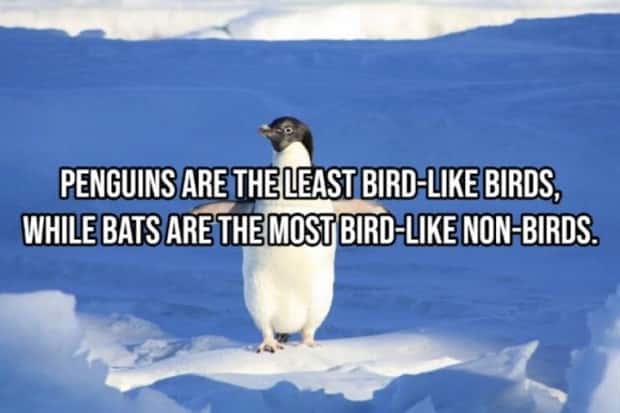 silly shower thoughts 8 Funny Shower Thoughts That Sound Smart #175 (21 photos)