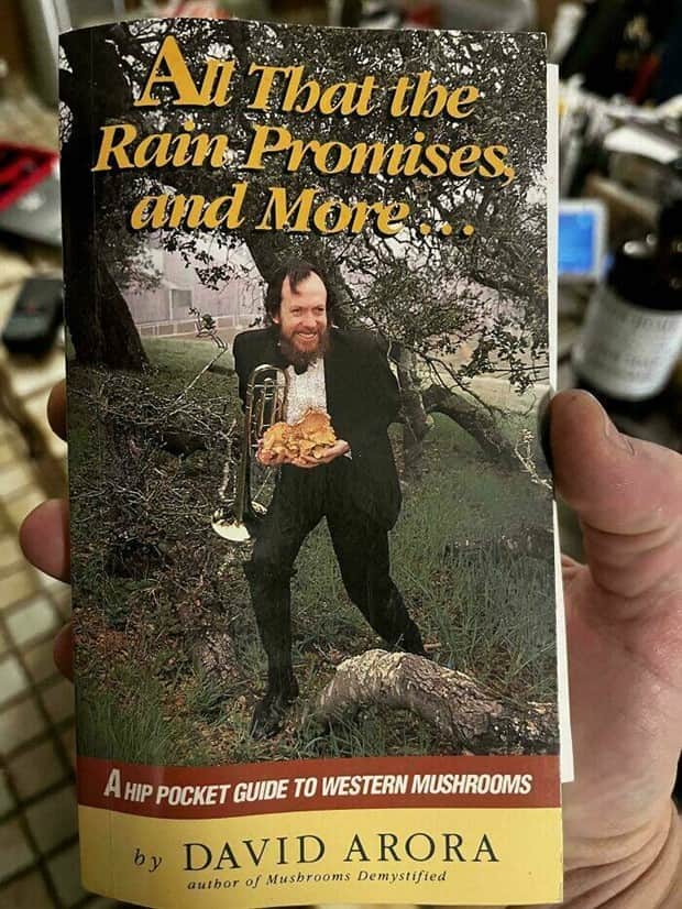strange book covers 7 Bad Book Covers Awaiting Judgment (21 photos)